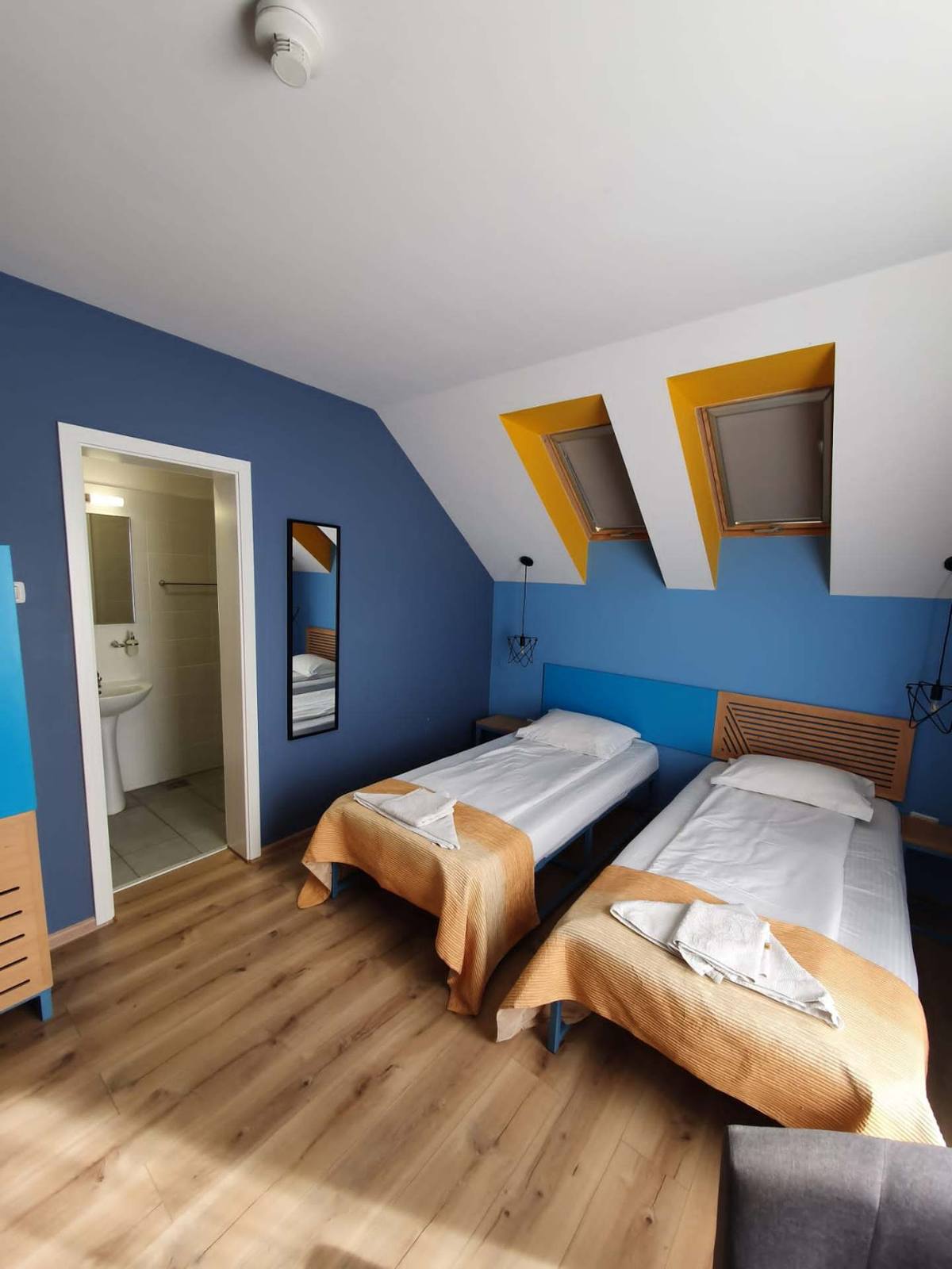 Attic twin room with skylights and en-suite