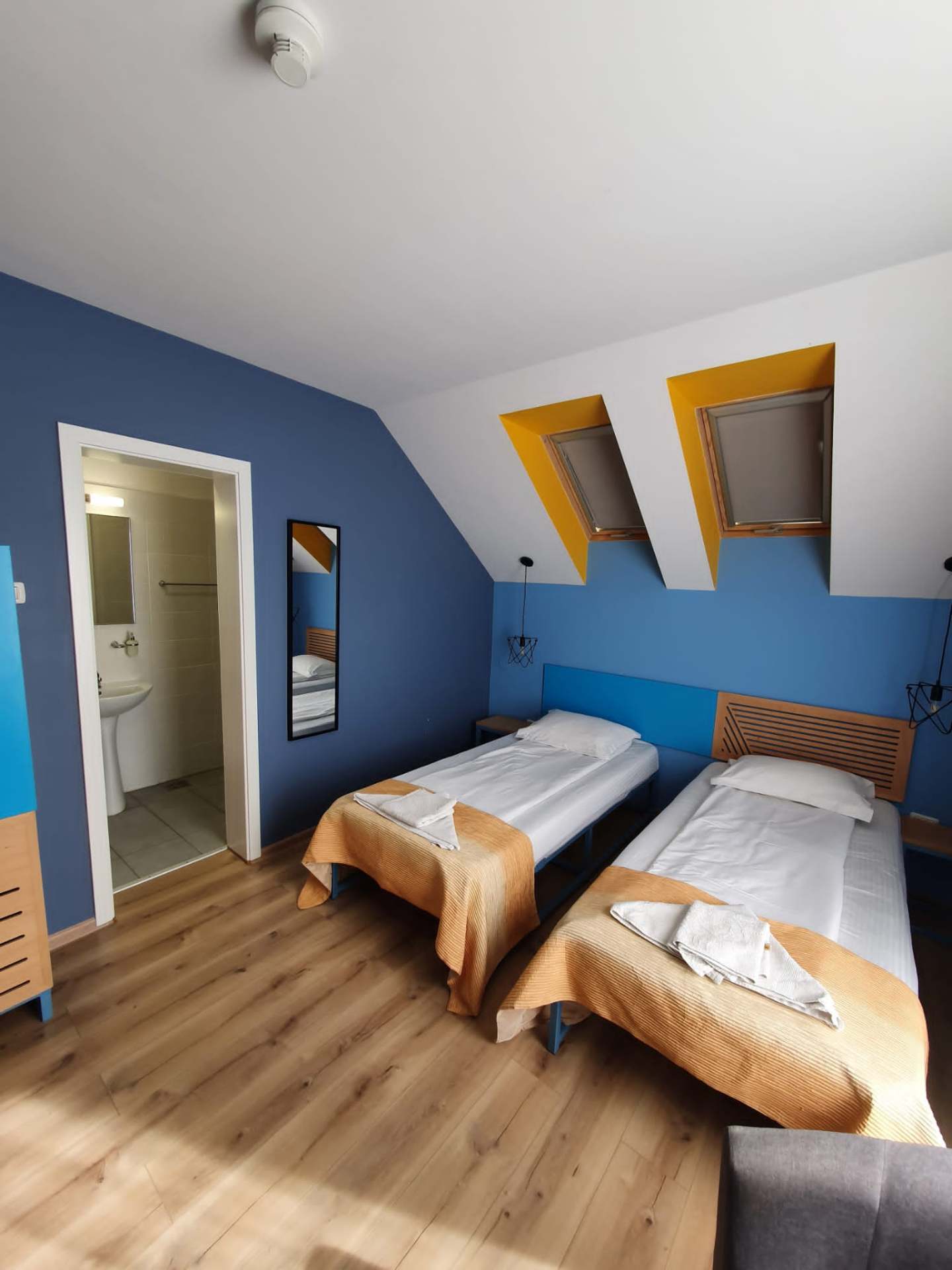 Attic twin room with skylights and en-suite